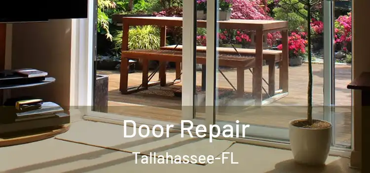  Door Repair Tallahassee-FL
