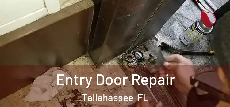  Entry Door Repair Tallahassee-FL