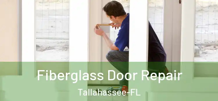  Fiberglass Door Repair Tallahassee-FL