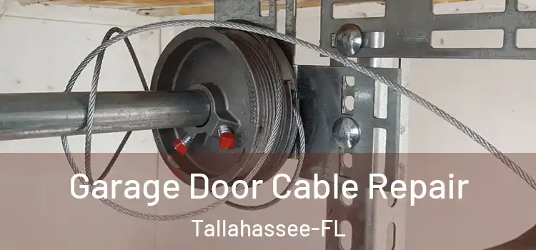  Garage Door Cable Repair Tallahassee-FL