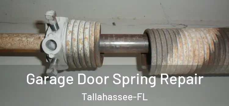 Garage Door Spring Repair Tallahassee-FL
