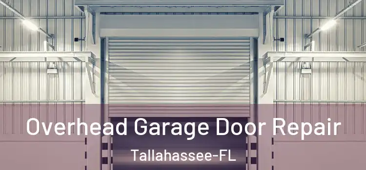 Overhead Garage Door Repair Tallahassee-FL