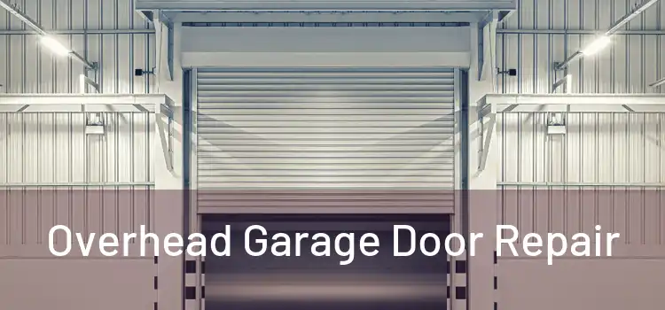  Overhead Garage Door Repair 