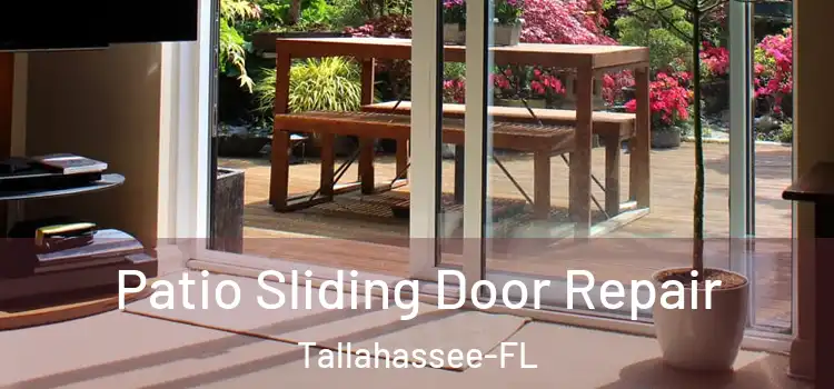 Patio Sliding Door Repair Tallahassee-FL