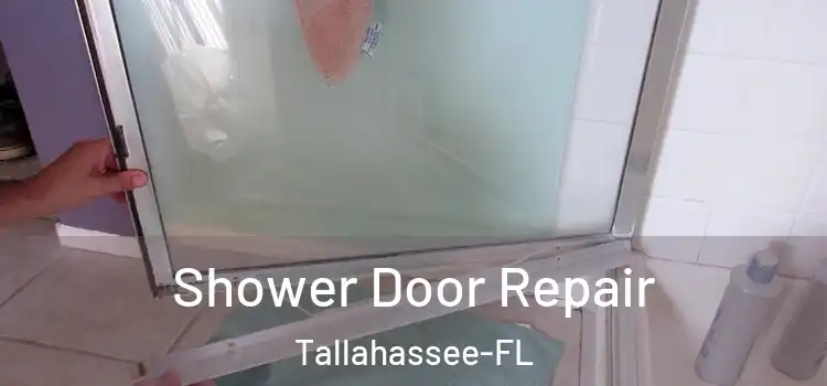  Shower Door Repair Tallahassee-FL