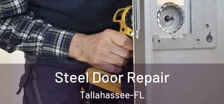  Steel Door Repair Tallahassee-FL